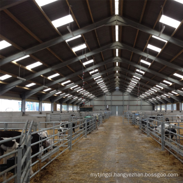 stable horse shed barn steel structure cowshed prefabricated dairy cow cattle farm shed barns house building bangladesh